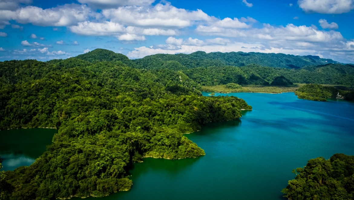 Los Pueblos del Jaguar: Chimalapas y Montes Azules